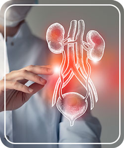 Genitourinary syndrome of menopause at Evolve Gynecology Located in Las Vegas, NV