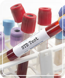  Confidential STD Screening at Evolve Gynecology Located in Las Vegas, NV